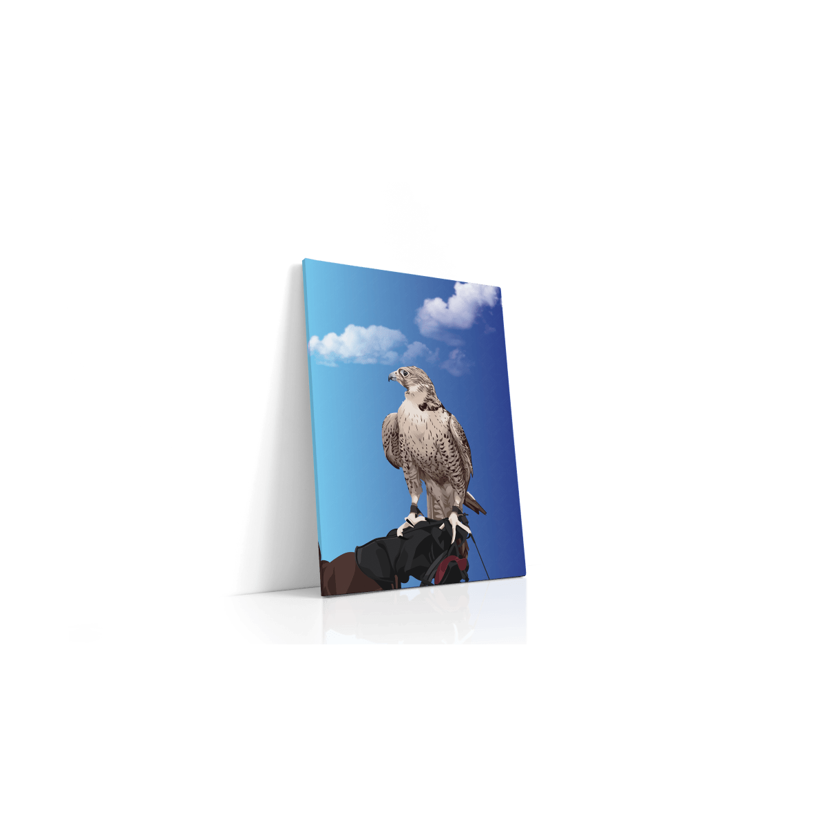Animal Canvas - Falcon Hunter